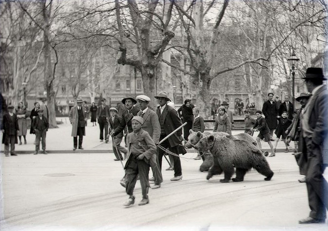 Zrinjevac. Kad zaigra mečka